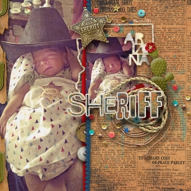 New-sheriff-in-townWEB.jpg