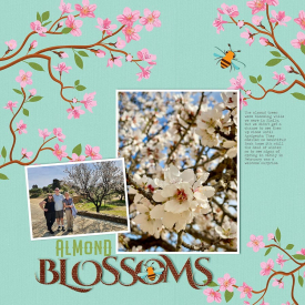 almond-blossoms-0724kb.jpg