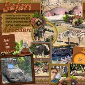 animalkingdomsafariWEB1.jpg