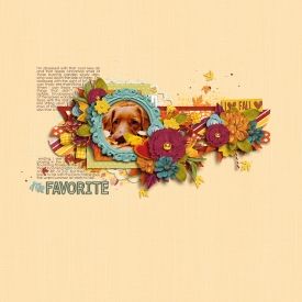obsessedwithfallF700.jpg