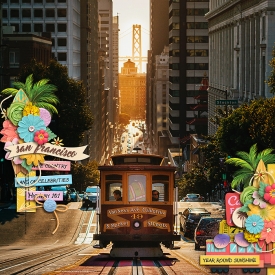 sanfranciscoF700.jpg