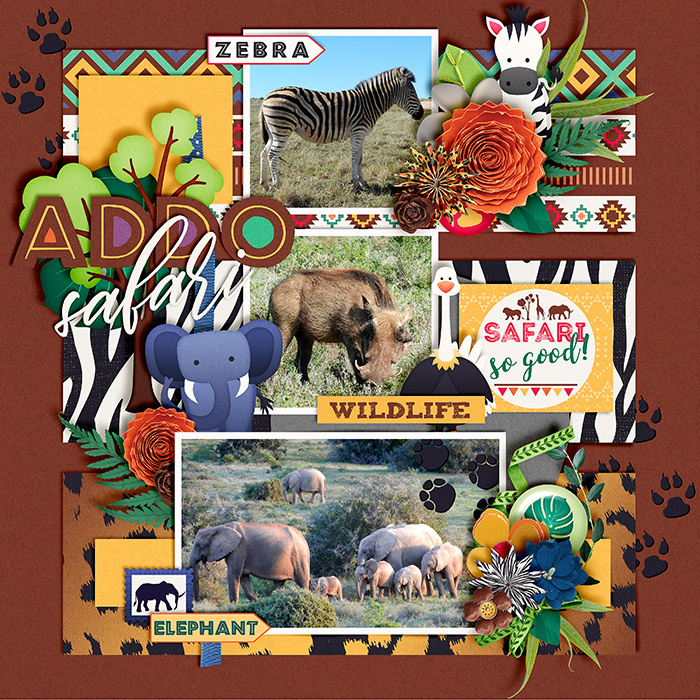 Addo-Safari-700-393