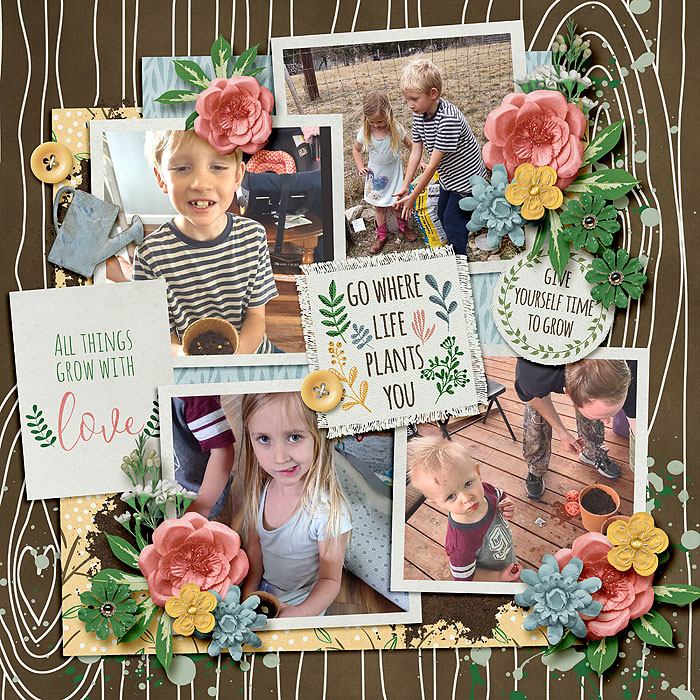 Aprilisa_PP249_mcreamm_rootinforya_robin_700