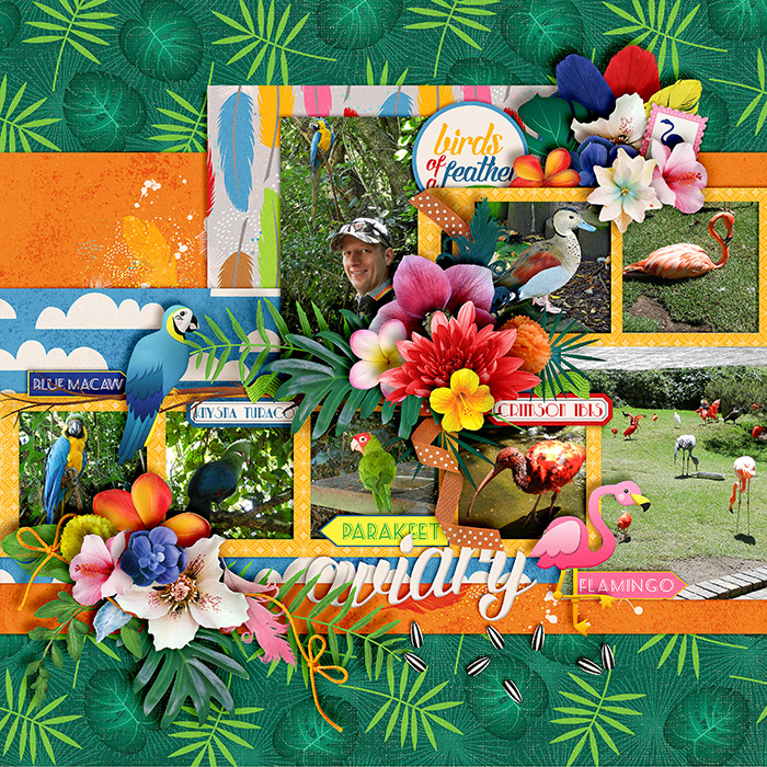 Aviary-700-395