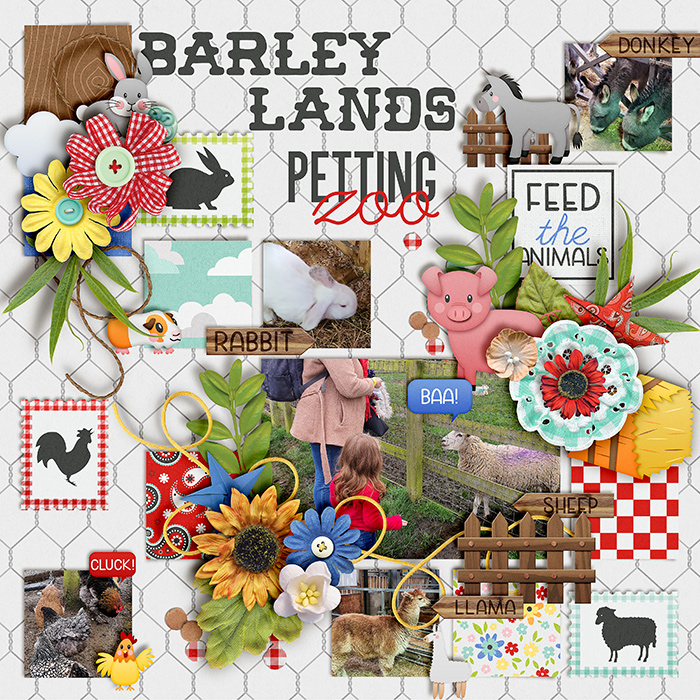 Barleylands-700-398