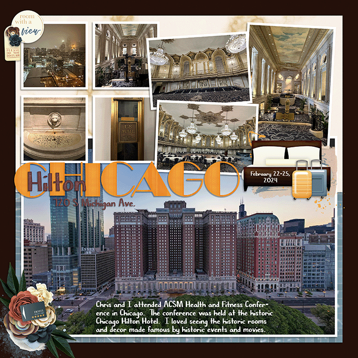Chicago700_HIlton_Tinci_TRA15_4