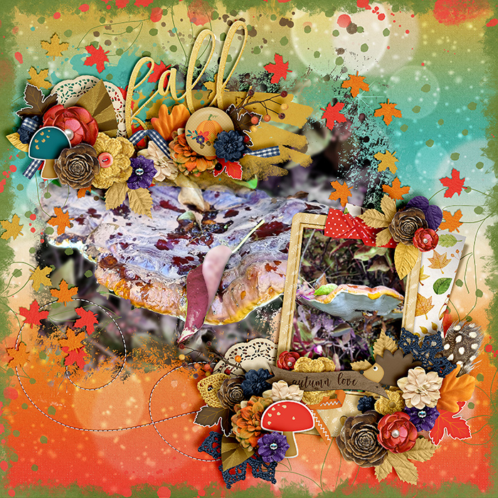 Fall-Favourite-700-489