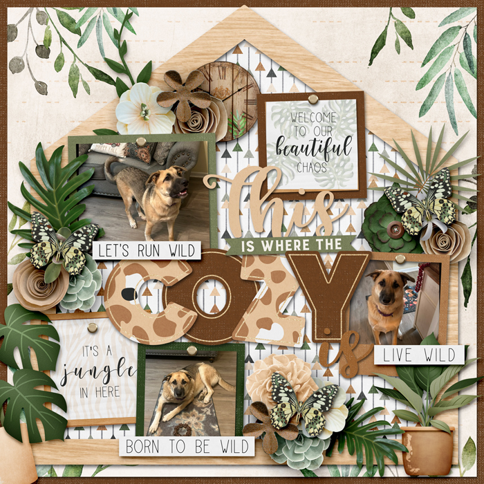 Gallery-Our-Cozy-Home