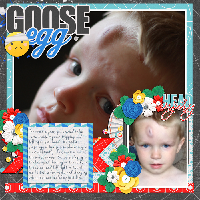 Goose700-Egg-Tinci_SIE8_1