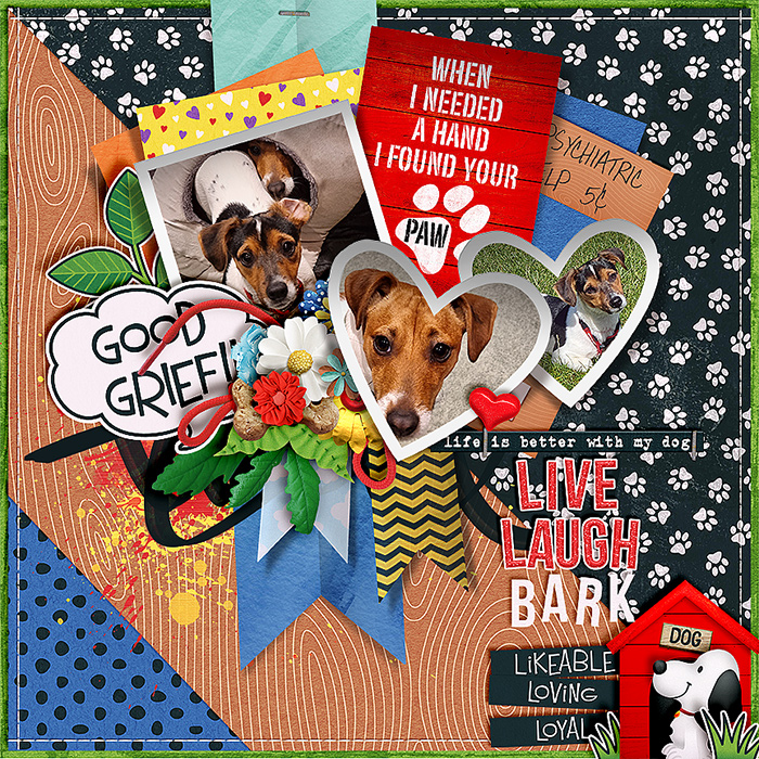 Live-laugh-bark-700-497