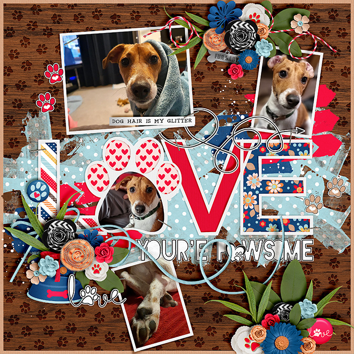 Pawsome-700-495