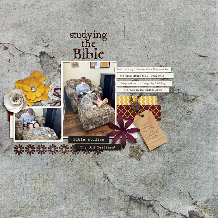 Robin_Blessings-Bible-Stories-1-SSD