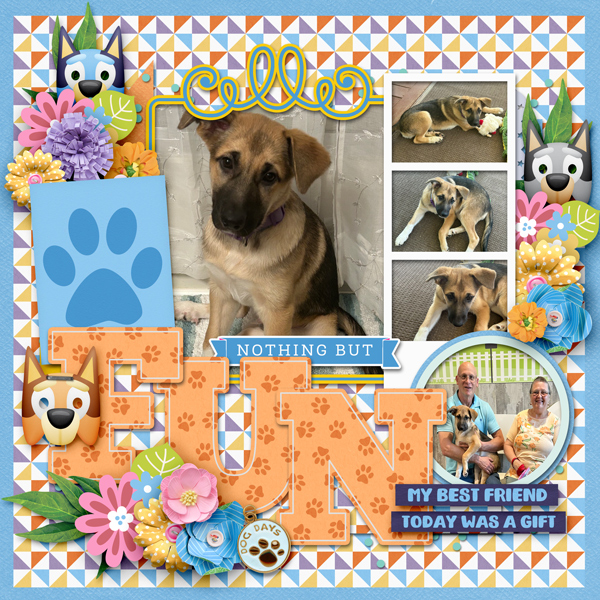 SSD-Dog-Adoption-Day