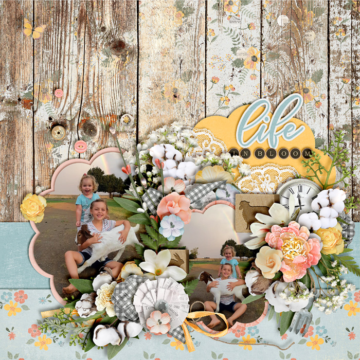 Spring-in-the-air-700-397