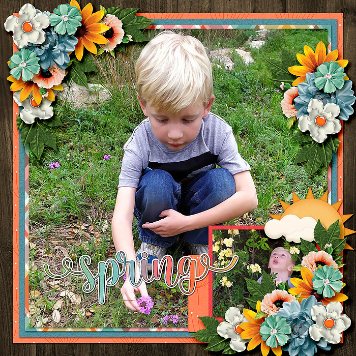Tinci_DOTR2_jcd_welcomespring_robin_700