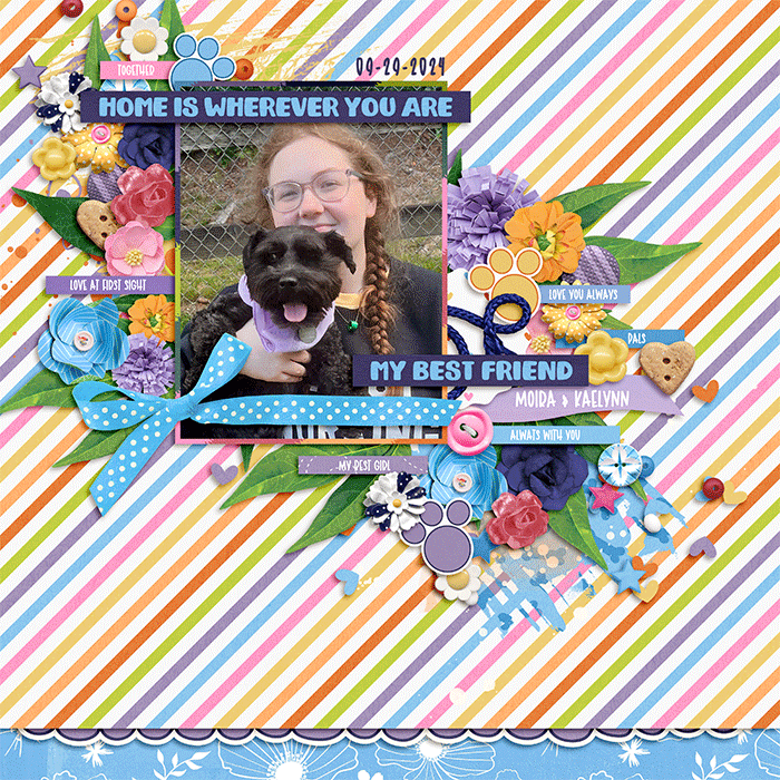 homedog_web