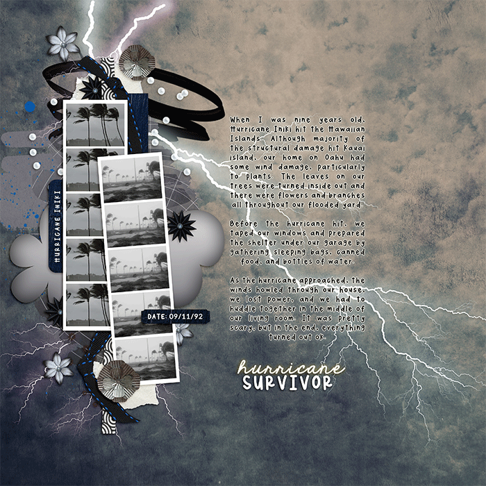 hurricanesurvivor_web