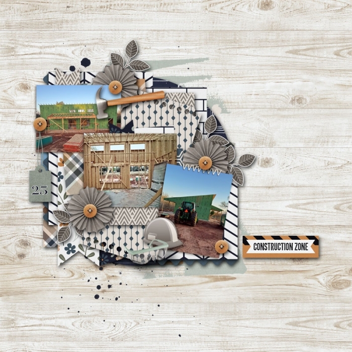 Building Their House