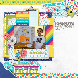 2014-02-09-scienceproject_sm.jpg