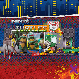 2014-06-06-ninjaturtles_sm.jpg