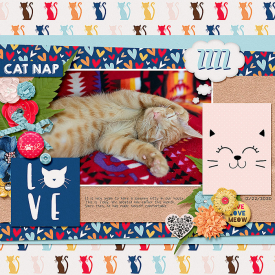 2020-12-22-catlove_sm.jpg