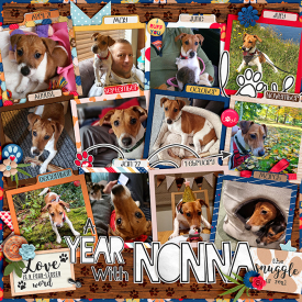 A-Year-with-Nonna-700-495.jpg