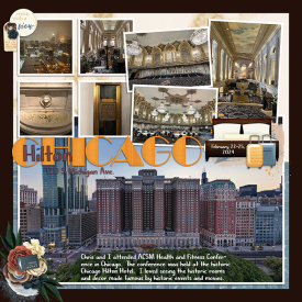 Chicago700_HIlton_Tinci_TRA15_4.png