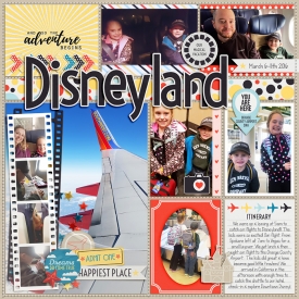 Disneyland_ssd.jpg