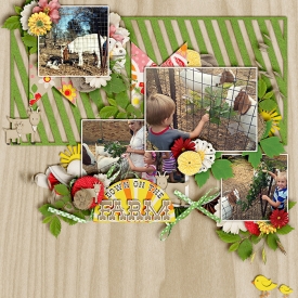 Feeding-the-goats-700-395.jpg