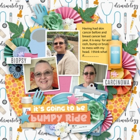 IGallery-t_s-Going-to-Be-a-Bumpy-Ride.jpg