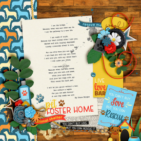Pet-Foster-700-396.jpg