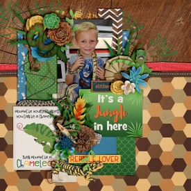 Reptile-Lover-700-391.jpg