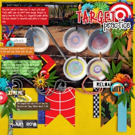 Target-practice-700-390.jpg