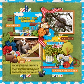The-Squirrel-700-391.jpg
