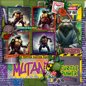 Turtle-Power-700-484.jpg