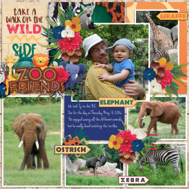 Ty-NC-Zoo-2006Tinci_MayD3_2.jpg