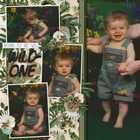 Ty700-8-months-fdd_FiddlesticksNumber63.jpg