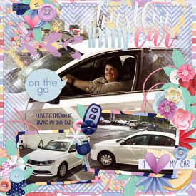 carhustlin_web.png
