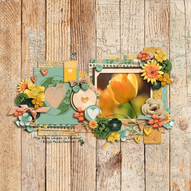 laughsinflowersF700.jpg