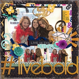 mcreations_yolo_w_ayi_jo600.jpg