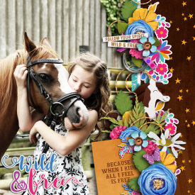meagan_wildhorses_700.jpg