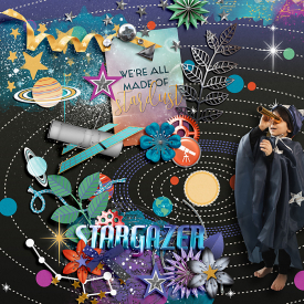 meaganscreations-Stargazer.jpg