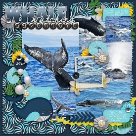 megsc_zoo_ocean_megsc_YLV3tmpjo600.jpg