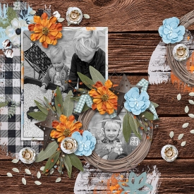 southernserenity_bemerry1_mcreat_farmhomestead_robin_700.jpg