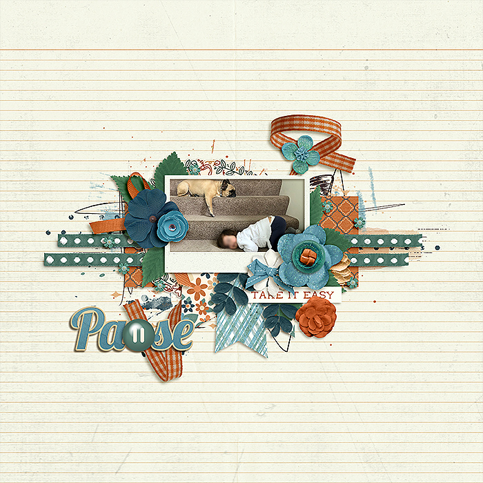 0214-pause