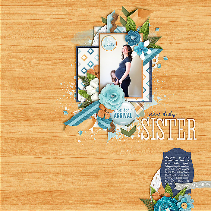 0317-new-baby-sister