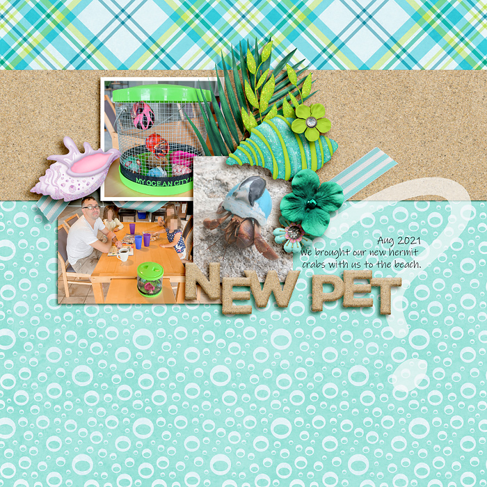 0801-new-pet