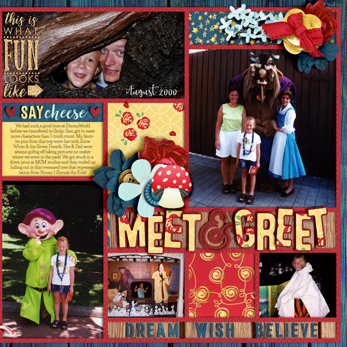 08222000disneyworldright