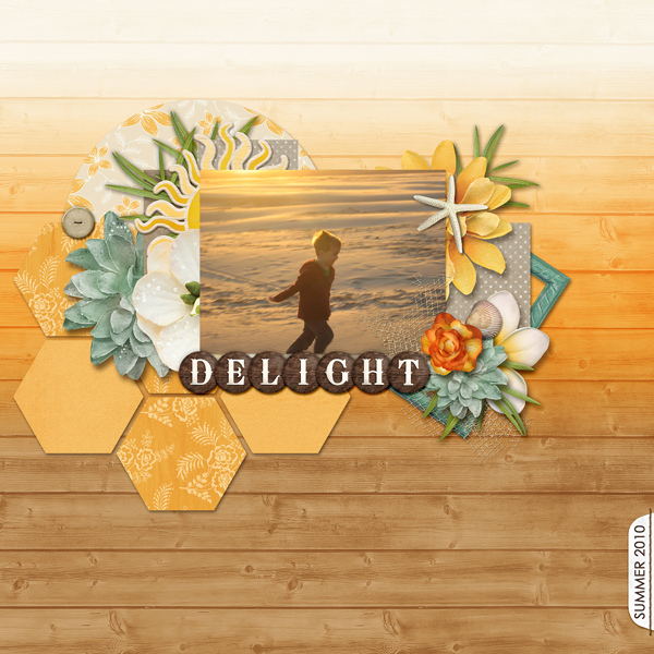 1-cam-delight-gallery