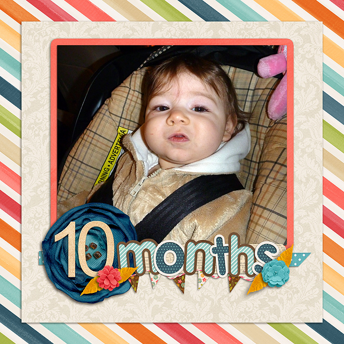 12-2-5-10-months-old